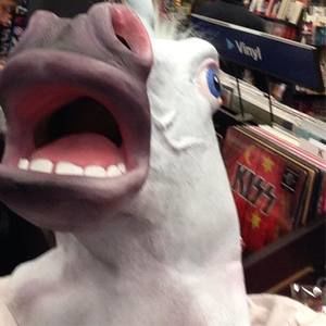 Meet your Posher, Nathan